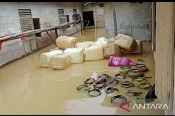 Desa Hutaimbaru Madina dilanda banjir