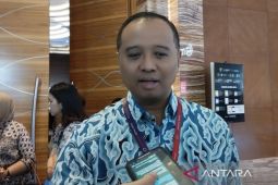 260 perusahaan minat investasi di IKN Nusantara