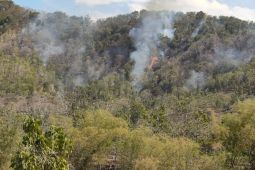 Lebih dari 2.000 orang dievakuasi akibat kebakaran hutan di Prancis