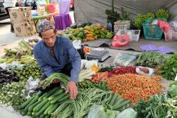 Petani Hortikultura Desa Padang Panjang terdampak kekeringan
