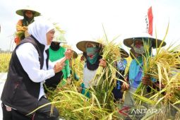 Gubernur Khofifah raih penghargaan Adhikarya Nararya Pembangunan Pertanian