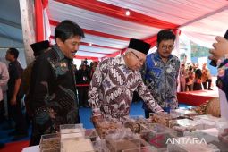 Dua strategi hadapi terorisme menurut Wapres Ma'ruf