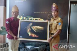 Pj Gubernur Babel tinjau Pekan Layanan Publik BKIPM