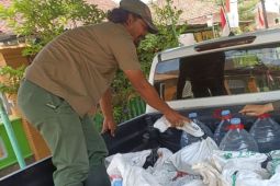 BBKSDA Jatim terima 14 ekor ular hasil penyelamatan komunitas di Madiun