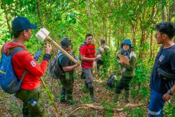 Program rehabilitasi AMMAN dukung pengelolaan hutan untuk kesejahteraan masyarakat NTB