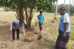 Waspada gigitan anjing di Dompu: Ny Harjah pun jadi korban