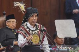 Jokowi tahu kerap disebut "Pak Lurah" dan jadi tameng politik