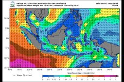 Waspadai gelombang tinggi hingga 6 meter di perairan Selatan Jawa Timur