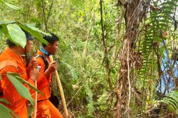 SAR Samarinda masih cari pekerja hilang  di hutan