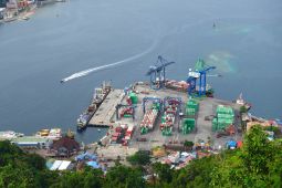 Digitalisasi proses bisnis jadikan Terminal Peti Kemas Jayapura bebas pungli
