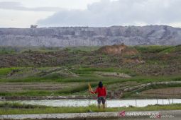 SPI Kalsel sebut petani belum merdeka dari kemiskinan