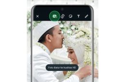 WhatsApp sudah bisa kirim foto kualitas tinggi