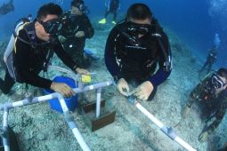 Danrem 162/WB menyelam tanam terumbu karang di perairan Gili Trawangan