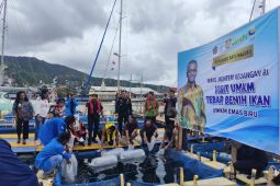 Kemenkeu lestarikan ikan di Maluku lewat program UMKM emas biru