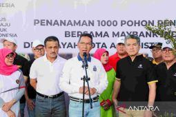 Jakarta adds 800 green open spaces as pollution-fighting measure