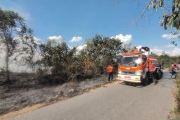 Karhutla di Tapin merambat ke pinggir jalan