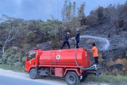 BPBD atasi kebakaran lahan seluas 21,4 hektare di Kabupaten Poso