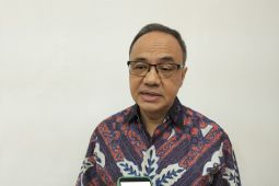 RI, NZ continue to exchange notes on efforts to free pilot