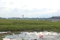 Ridwan Kamil: Eceng gondok di Situ Bagendit harus terus dibersihkan