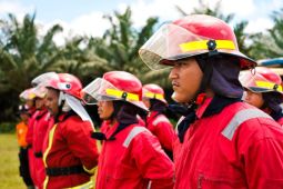 Sinar Mas Agribusiness and Food perkuat kolaborasi dan teknologi cegah karhutla
