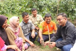 Wabup Tapsel inginkan Desa Pahae Aek Sagala jadi penghasil kopi terbesar
