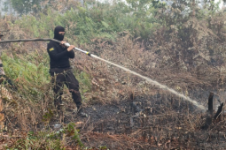 BPBD Kalbar waspadai potensi karhutla di enam wilayah