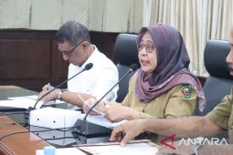 Tim pengawasan lintas kementerian tinjau pengendalian inflasi Maluku