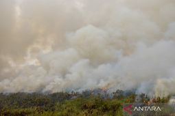 Waspada potensi karhutla di Kalsel pada Sabtu