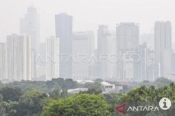 Kemarin, cara nilai kualitas udara tanpa alat sampai AI untuk belanja kosmetik