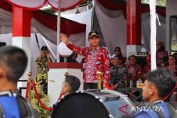 Ratusan peserta meriahkan pawai baris dan karnaval di Bangka