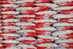 Pemkab Belitung siapkan stok beras 1.047 ton