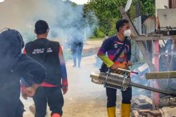 Masyarakat Kapuas Hulu diminta waspada peningkatan kasus DBD