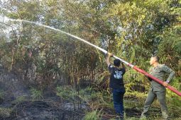 BMKG Balikpapan deteksi 56 titik panas di Kaltim