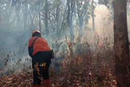 BPBD Probolinggo imbau  warga tingkatkan kewaspadaan cegah karhutla