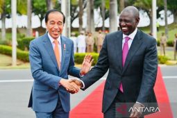 Presiden Jokowi pada KTT BRICS sebagai tamu undangan