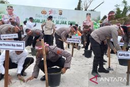 Lahan bekas tambang timah di Bangka Belitung ditanami bibit pohon