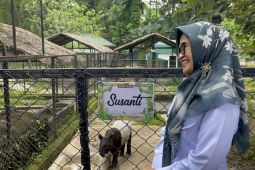 Anak Tapir lahir di THPS, diberi nama Susanti