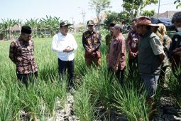 Pemkab Sidoarjo petakan wilayah terdampak kekeringan