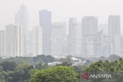 Pelaku industri hentikan penggunaan PLTU