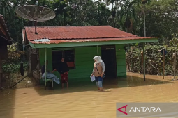 WALHI sebut banjir sebagai indikator kerusakan hutan