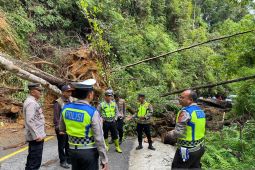 Jalur alternatif untuk menghindari longsor di Jalan Lintasan Blangkejeren-Takengon