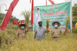 DKPP Kota Madiun anggarkan Rp1,3 M untuk pupuk gratis