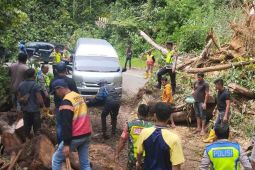 Jalur wilayah tengah Aceh kembali normal setelah putus akibat longsor