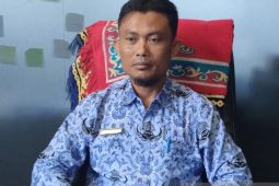 300 hektare lahan sawah di Bangka Selatan dilanda kekeringan
