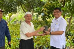 DTPH Paser: Program kampung buah dikelola Bumdes