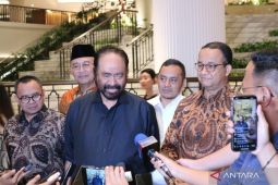 Surya Paloh ragukan hasil survei soal Anies Baswedan