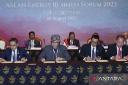 Kolaborasi Dengan ACE, PLN Gandeng 2 Perusahaan Listrik Malaysia Kembangkan Sistem Interkoneksi Antar Negara