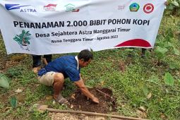 Astra dorong ekspor kopi Desa Sejahtera Tugu Utara ke Aljazair
