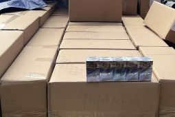 Bea Cukai Malang gagalkan peredaran rokok ilegal senilai ratusan juta