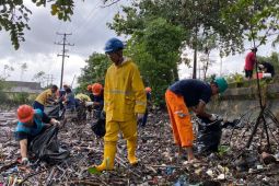 PLN Maluku tanam mangrove di kawasan hutan bakau  Ambon
